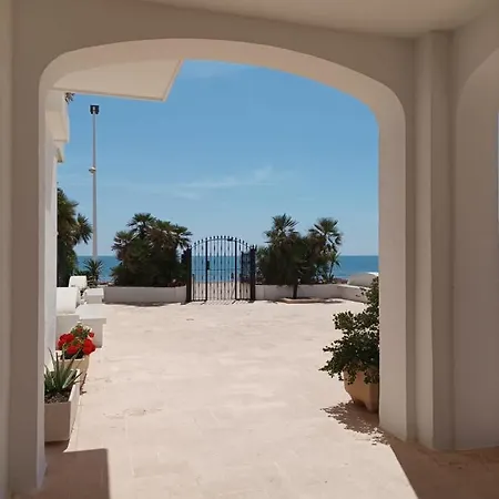 Almar Collection Ar * Cullera